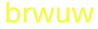 brwuw paga com-logo